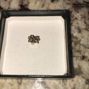Pandora charm